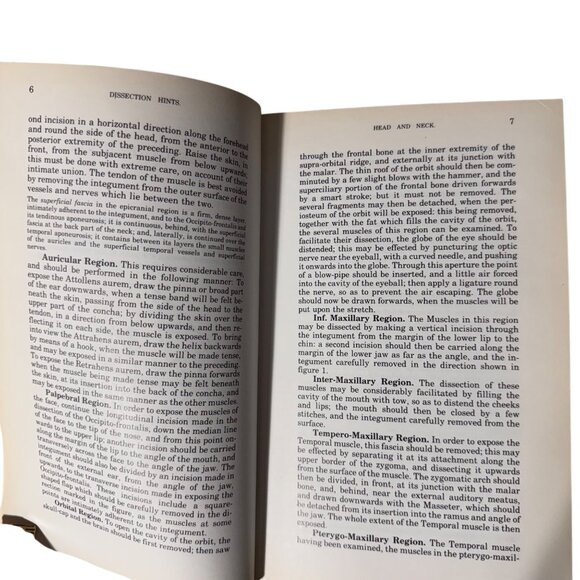 The Concise Grays Anatomy Book by C.H. Leonard AM MD Chartwell Books 1983  Omega - Picture 10 of 16